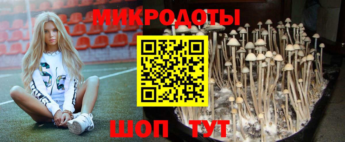 Псилоцибиновые грибы Cubensis  Псилоцибиновые грибы Psilocybine cubensis  Вход с VPN  Набережные Челны 